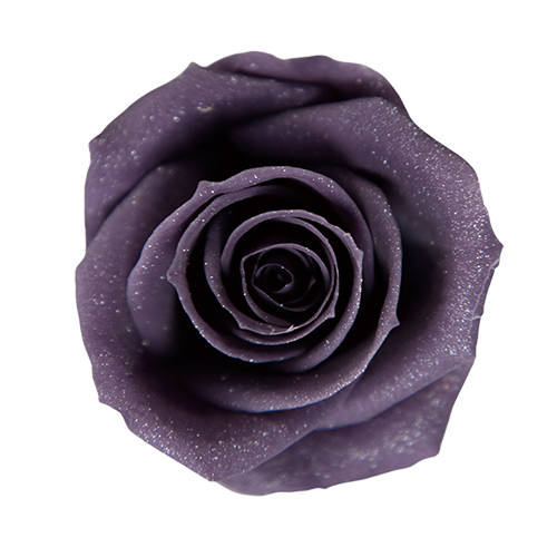 Sparkling Dark Purple