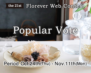 Web Contest