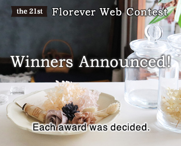 Web Contest